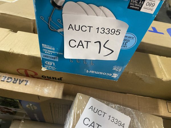 AUCT 13395 CAT 75 - Image 2