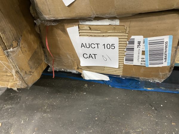 AUCT 105 CAT 01 - Image 2