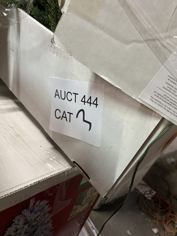 AUCT 444 CAT 3 - Image 2