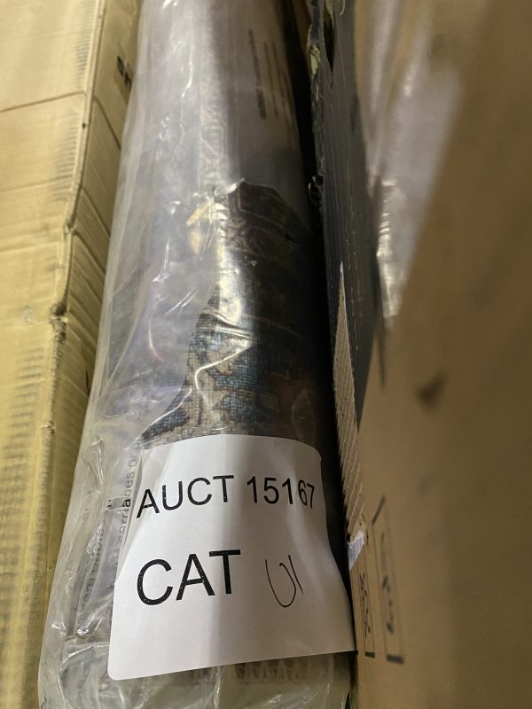 AUCT 15167 CAT 01 - Image 2