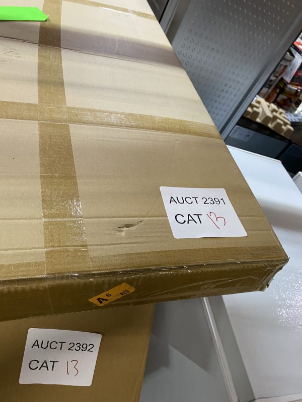 AUCT 2391 CAT 13 - Image 2