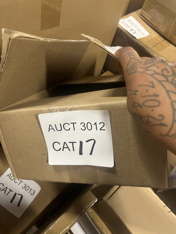 AUCT 3012 CAT 17 - Image 2