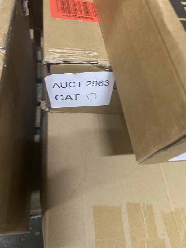 AUCT 2963 CAT 17 - Image 2